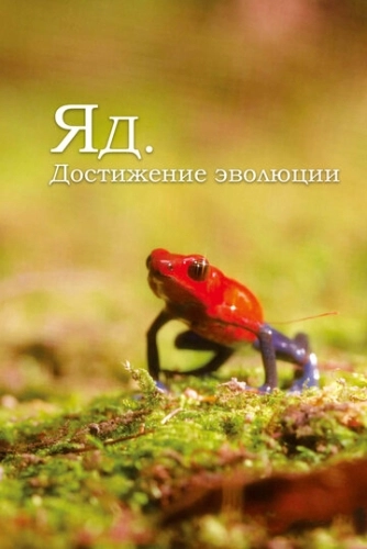 Яд. Достижение эволюции (2015) онлайн