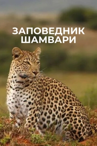 Заповедник Шамвари (2018) онлайн